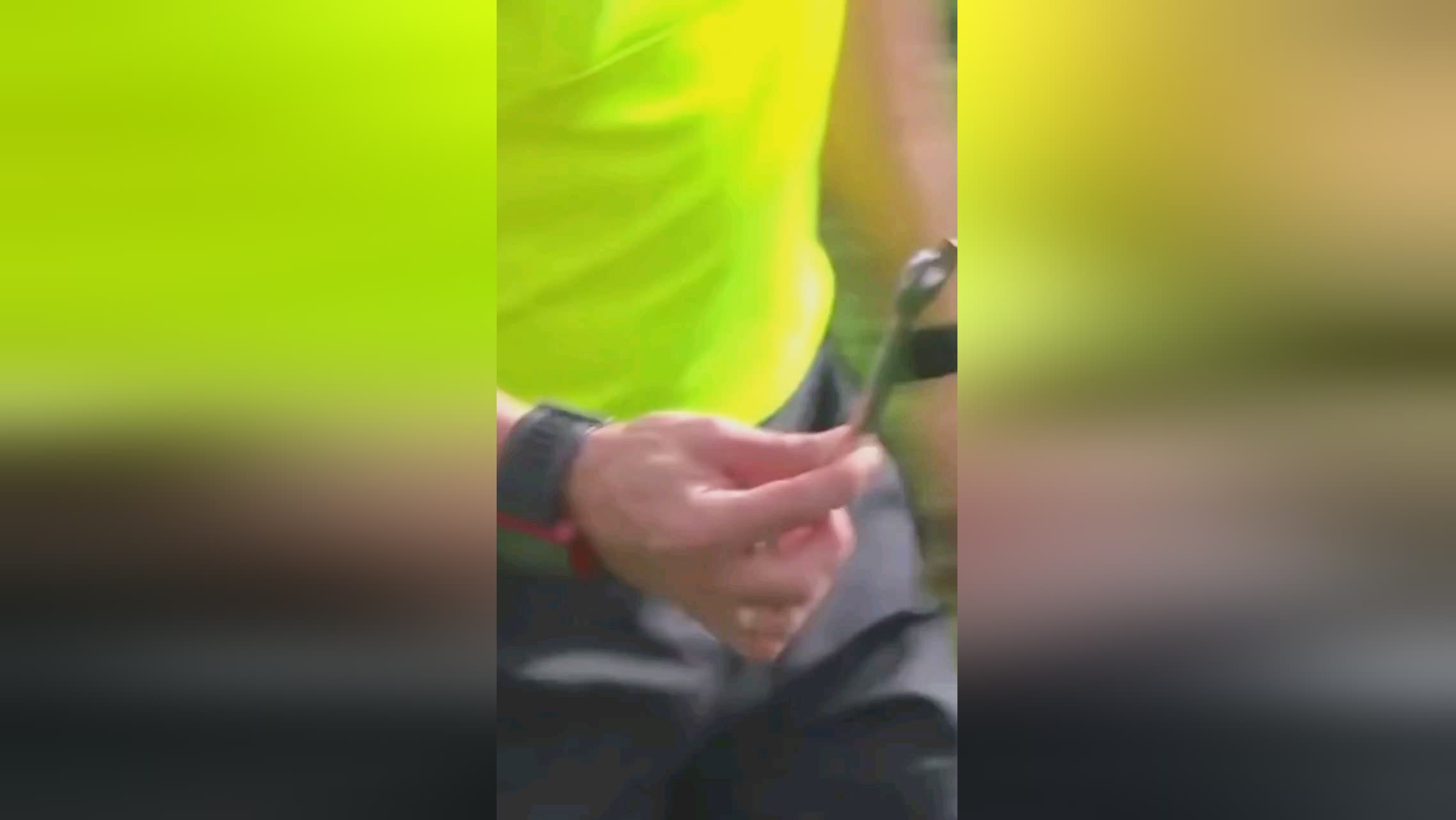 掷亿欧的行